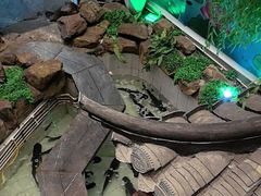 -春盛渔府(牛首山店)
