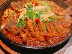 -老板恋上鱼(印象城店)