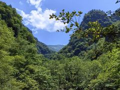 -青峰峡国家森林公园