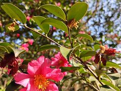 -苏州河梦清园环保主题公园