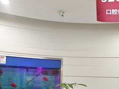-雅悦齿科(顾村公园店)