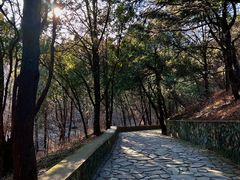 -香山公园