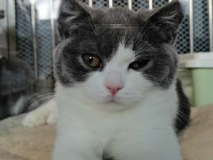 -1013 PET SHOP 宠物商店(近铁城市广场店)