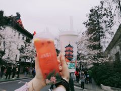 -鸡鸣赐茶(鸡鸣寺路店)