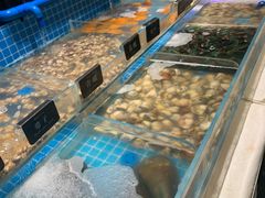 -加餐海鲜自助(集美银泰百货店)