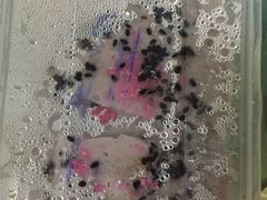 -福州人铭小吃