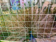 -太原动物园