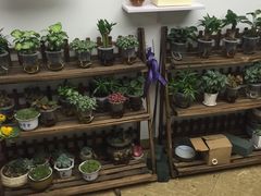 -亭亭鲜花店(中山北路店)