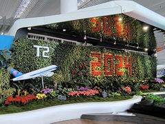 -广州白云国际机场-T2航站楼