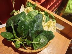 -巴奴毛肚火锅(龙湖锦艺城店)