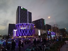 -鹏欣水游城