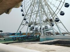 -秦皇岛乐岛海洋王国