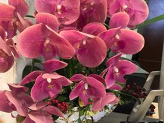 -城市便捷酒店(佛山大良清晖园步行街店)