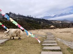 -硗碛藏寨·神木垒景区