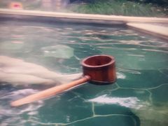 -苏州湾王焰温泉度假酒店