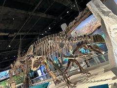 -国家自然博物馆