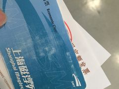 -龙阳路磁悬浮列车总站-停车场