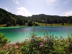 -武陵山森林公园
