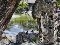 -常熟方塔园