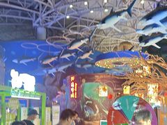 -烟台海昌鲸鲨海洋公园
