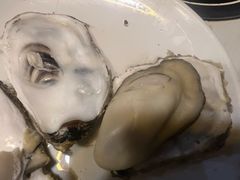 -九月海·海鲜自助(世纪东方店)