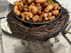 -丁老爷子苏香圆