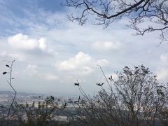 -紫金山山顶公园