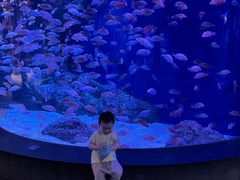 -成都浩海立方海洋公园