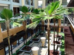 -三亚海棠湾万丽度假酒店