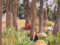 -人民公园(罗湖区)