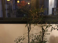 -知亘茶食