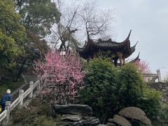 -黄鹤楼