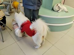 -怪兽屋·羊驼·猫咖·狗咖(俊华广场店)