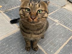 -终南山南五台景区