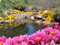 -国家植物园