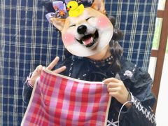 -手工艺活态馆