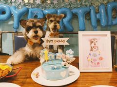 -百好乐宠物友好餐厅(朝外大街店)