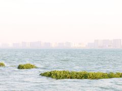 -龙舟池