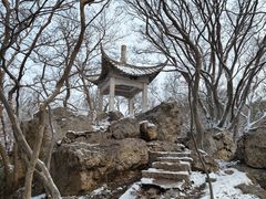 -紫金山山顶公园