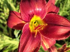 -汉长安城未央宫国家考古遗址公园