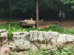 -广州长隆野生动物世界