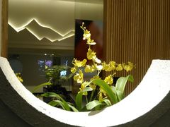 -玲珑时光保健会所(天河南路店)