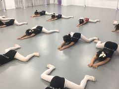 -西安小天鹅艺术团(金花路校区)