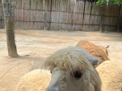 -杭州野生动物世界