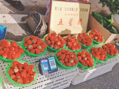 -辛庄国际文化艺术区
