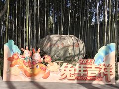 -上海醉白池公园