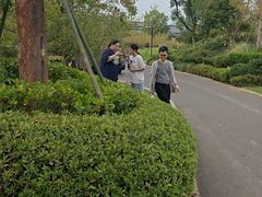 -雅达·阳羡溪山小镇中心