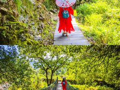 -石台牯牛降景区