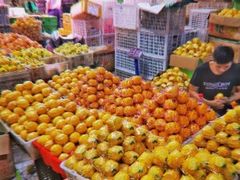 -菜园坝水果市场
