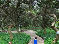 -黄埔荔枝公园
